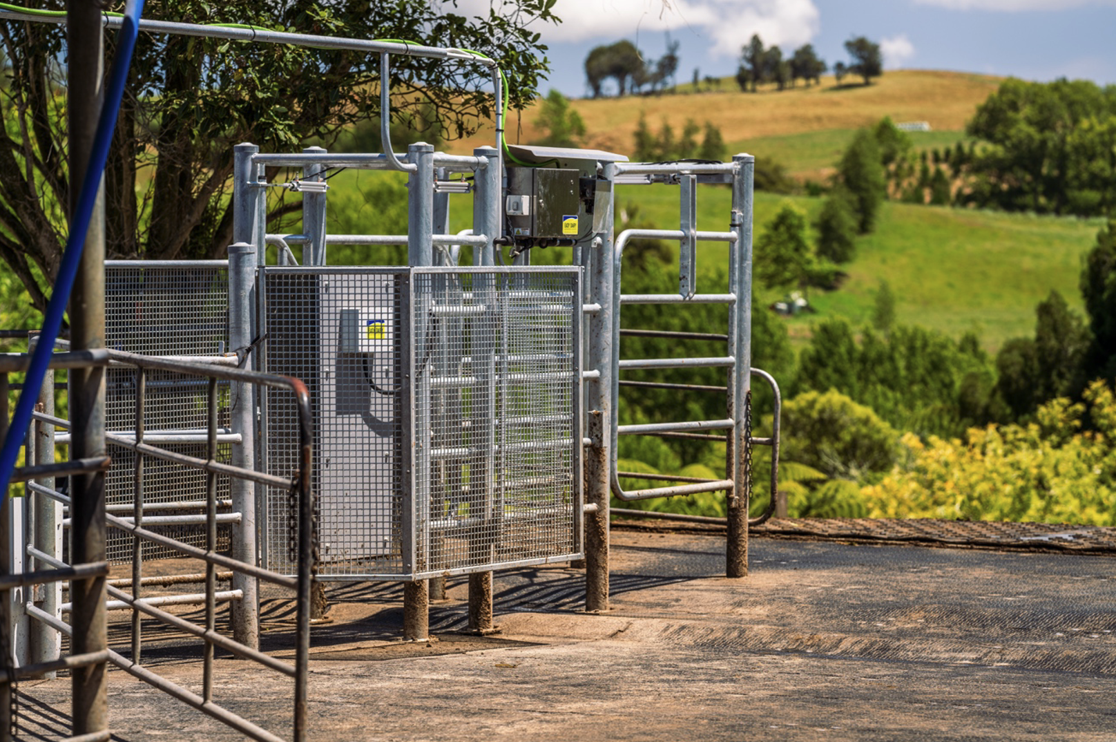 EasyDairy Drafting Gate